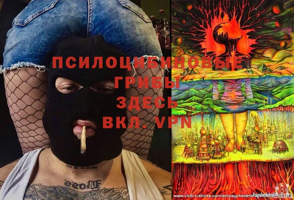 гашик Абаза