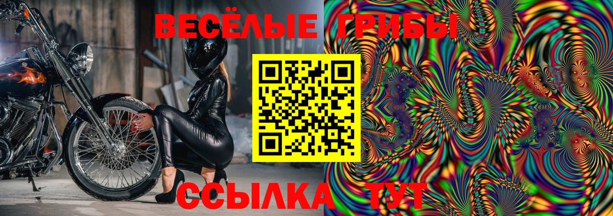 Псилоцибиновые грибы ЛСД Карталы