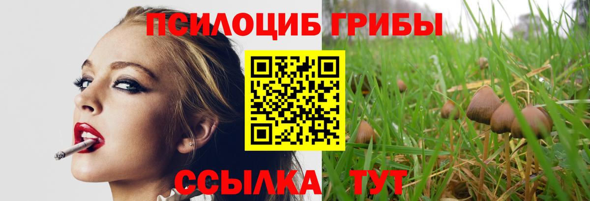 Галлюциногенные грибы GOLDEN TEACHER  Псилоцибиновые грибы MAGIC MUSHROOMS  Карталы  Вход с VPN 